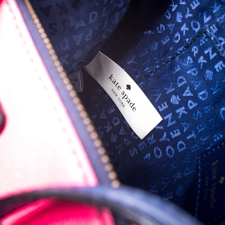 Pre Owned Kate Spade Multicolour Leather Wellesley Hanna Crossbody Bag