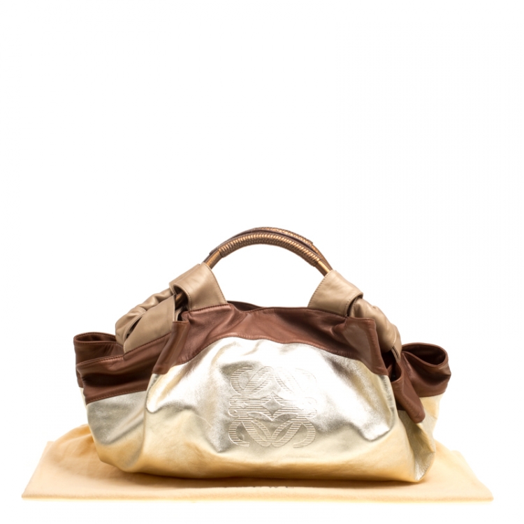Pre Owned Loewe Multicolor Leather Nappa Aire Hobo