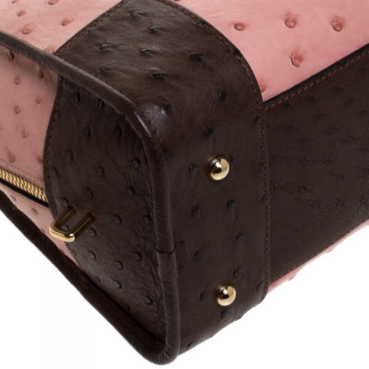 Pre Owned Loewe Bicolor Ostrich Amazona 28 Bag
