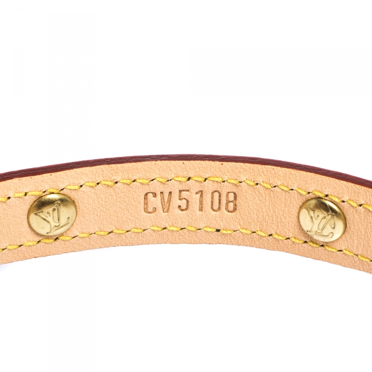 Pre Owned Louis Vuitton Monogram Canvas Baxter Dog Collar PM