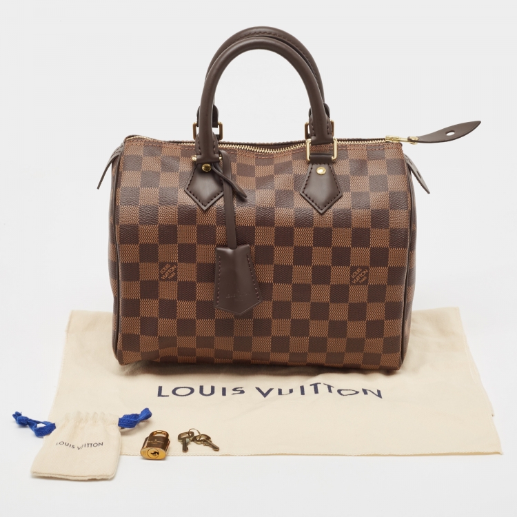 Pre Owned Louis Vuitton Damier Ebene Canvas Speedy 25 Bag