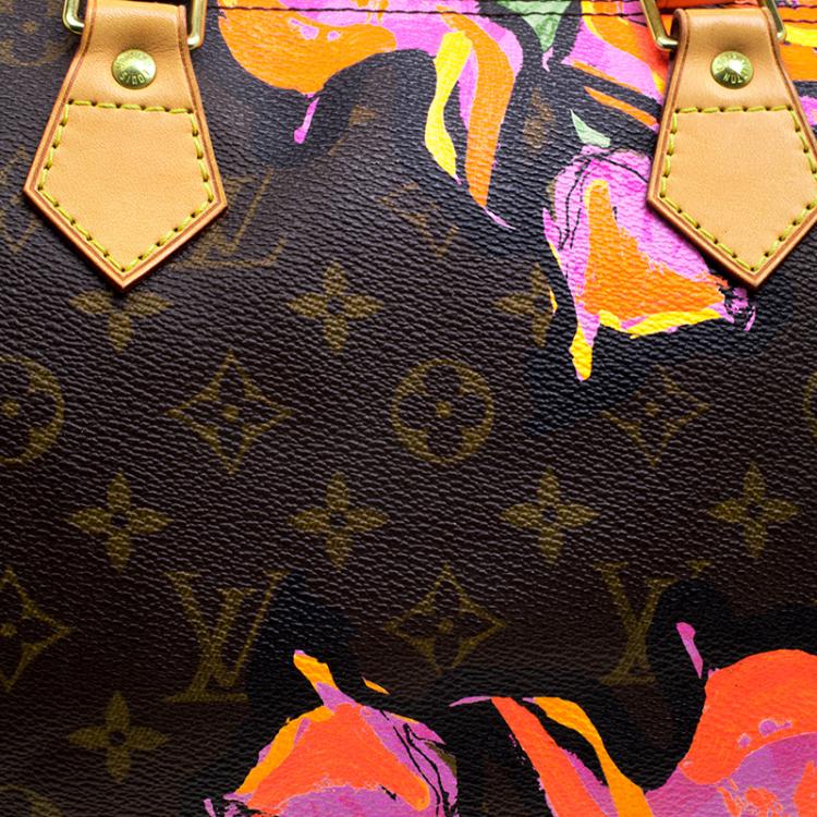 Pre Owned Louis Vuitton Multicolor Monogram Canvas Limited Edition Stephen Sprouse Roses Speedy 30