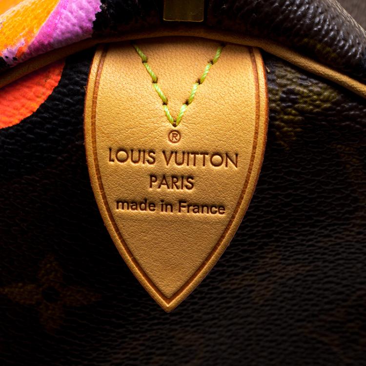 Pre Owned Louis Vuitton Multicolor Monogram Canvas Limited Edition Stephen Sprouse Roses Speedy 30