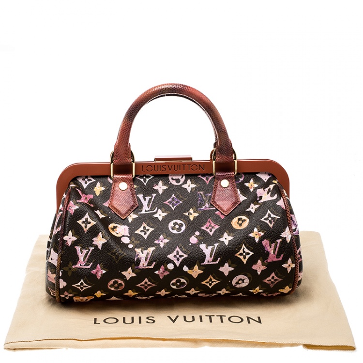 Pre Owned Louis Vuitton Limited Edition Richard Prince Monogram Watercolor Aquarelle Papillon Frame Bag