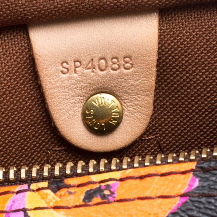 Pre Owned Louis Vuitton Multicolor Monogram Canvas Limited Edition Stephen Sprouse Roses Speedy 30