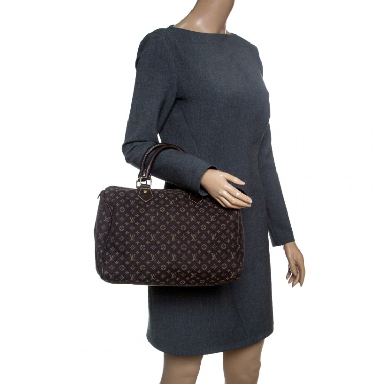 مملوكة مسبقًا Louis Vuitton Fusain Monogram Canvas Mini Lin Speedy 30 Bag