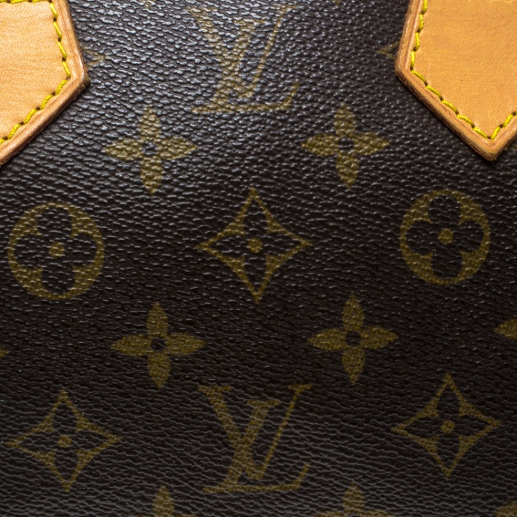 Pre Owned Louis Vuitton Monogram Canvas and Leather Speedy 25 Bag