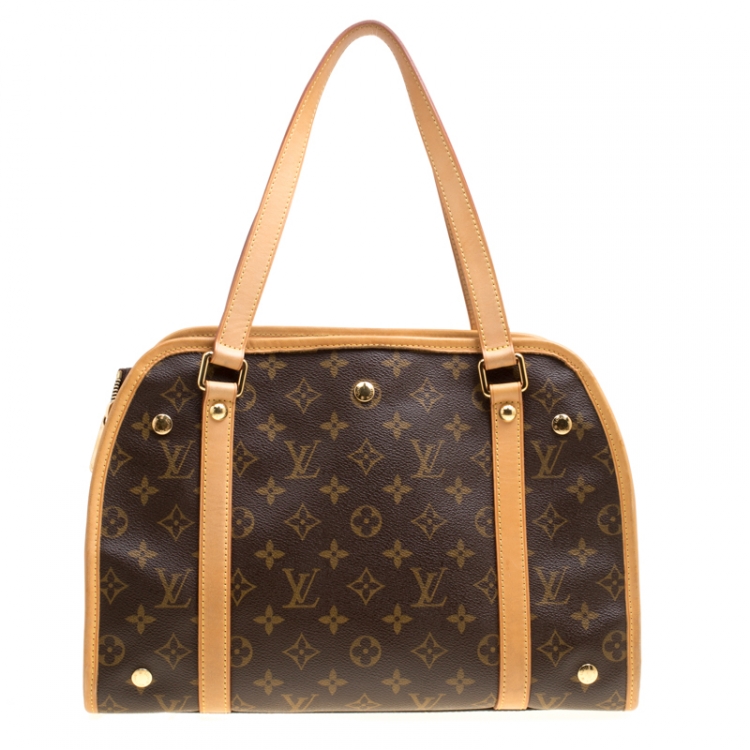 louis vuitton dog bag