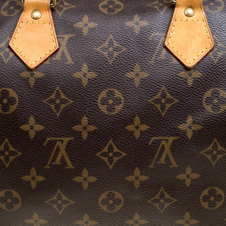 Pre Owned Louis Vuitton Monogram Canvas and Leather Speedy 30 Bag