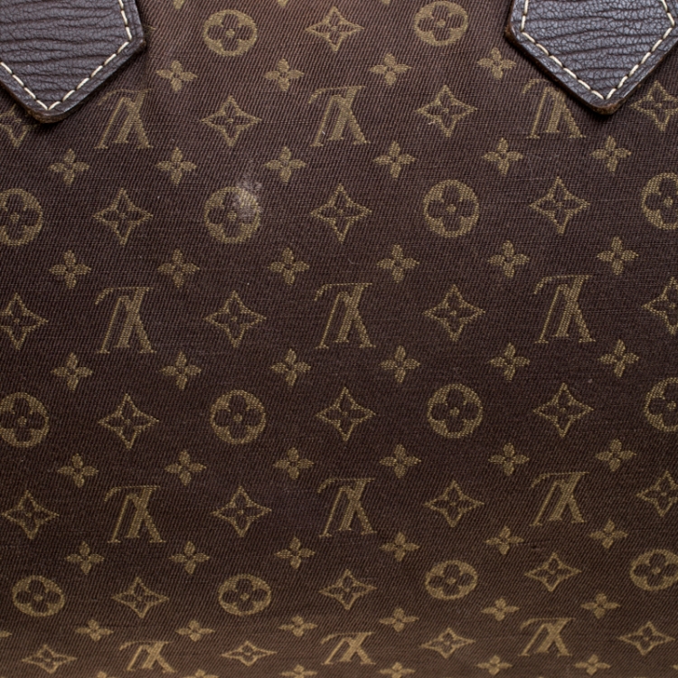 Pre Owned Louis Vuitton Fasain Monogram Canvas Speedy 30