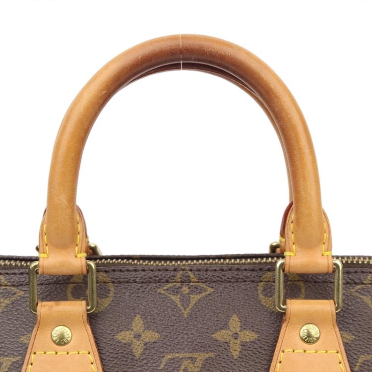 Pre Owned Louis Vuitton Monogram Canvas Speedy 25 Bag