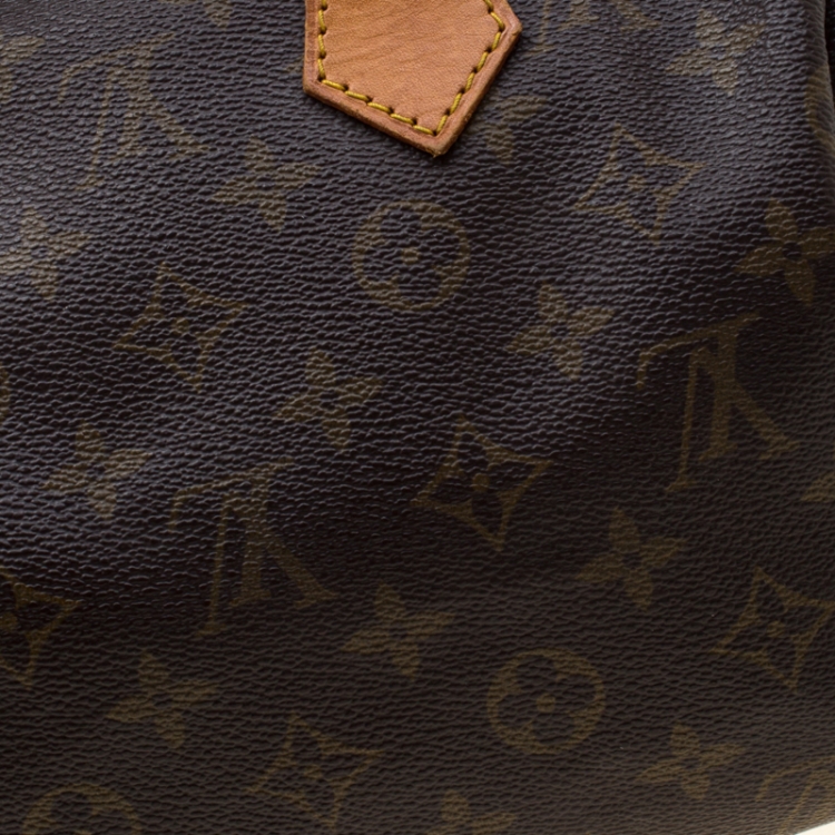 Pre Owned Louis Vuitton Monogram Canvas Speedy 25 Bag