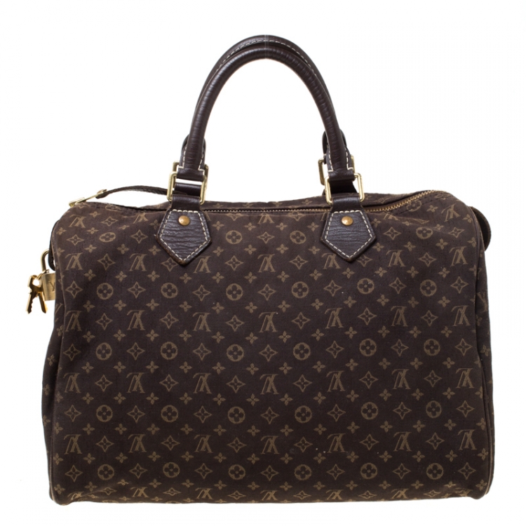 Pre Owned Louis Vuitton Fusain Monogram Canvas Mini Lin Speedy 30 Bag