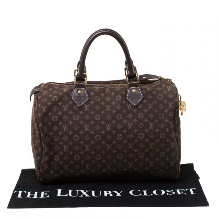 Pre Owned Louis Vuitton Fusain Monogram Canvas Mini Lin Speedy 30 Bag