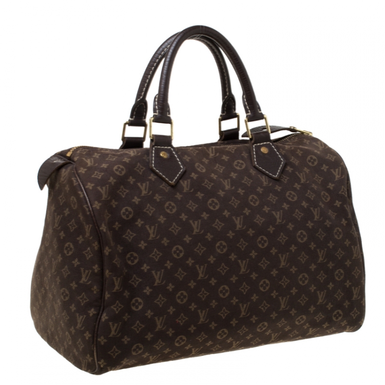 Pre Owned Louis Vuitton Fusain Monogram Canvas Mini Lin Speedy 30 Bag