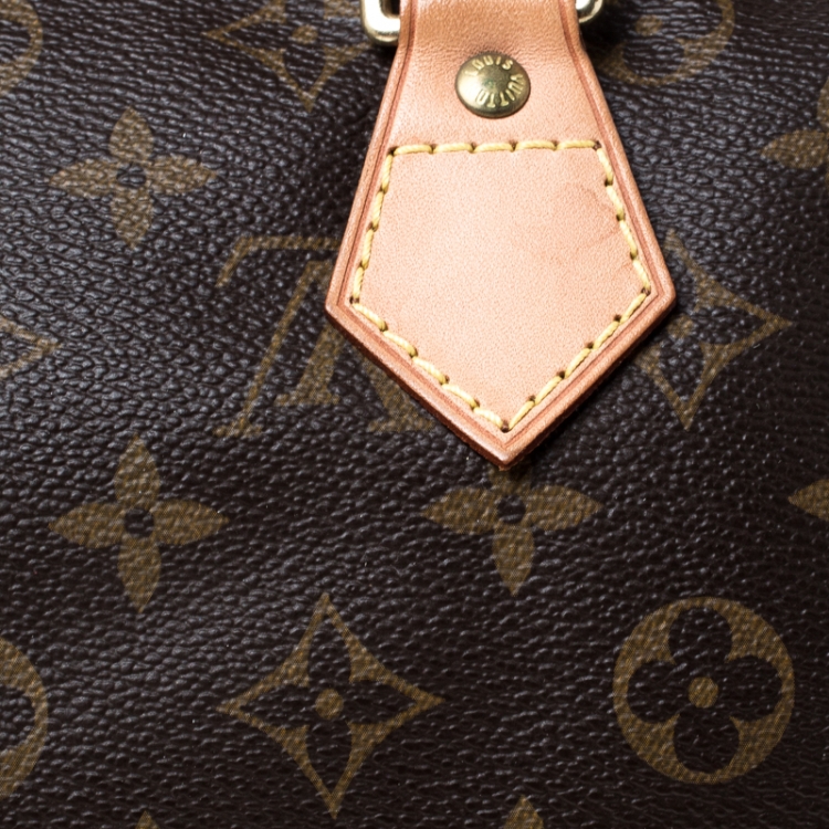 Pre Owned Louis Vuitton Monogram Canvas Speedy 30 Bag