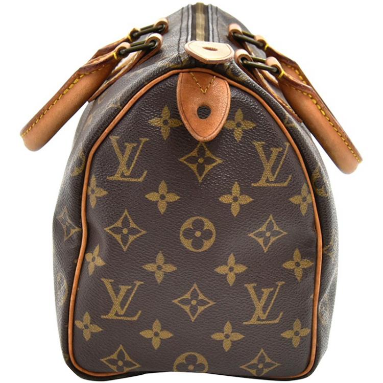 Pre Owned Louis Vuitton Monogram Canvas Speedy 25 Bag