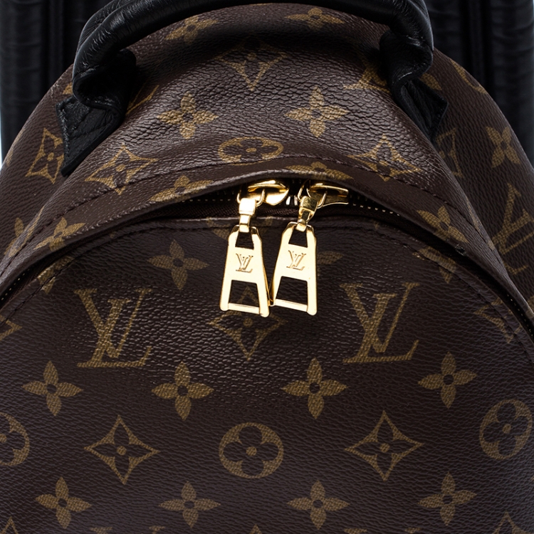 Pre Owned Louis Vuitton Monogram Canvas Palm Springs PM Backpack