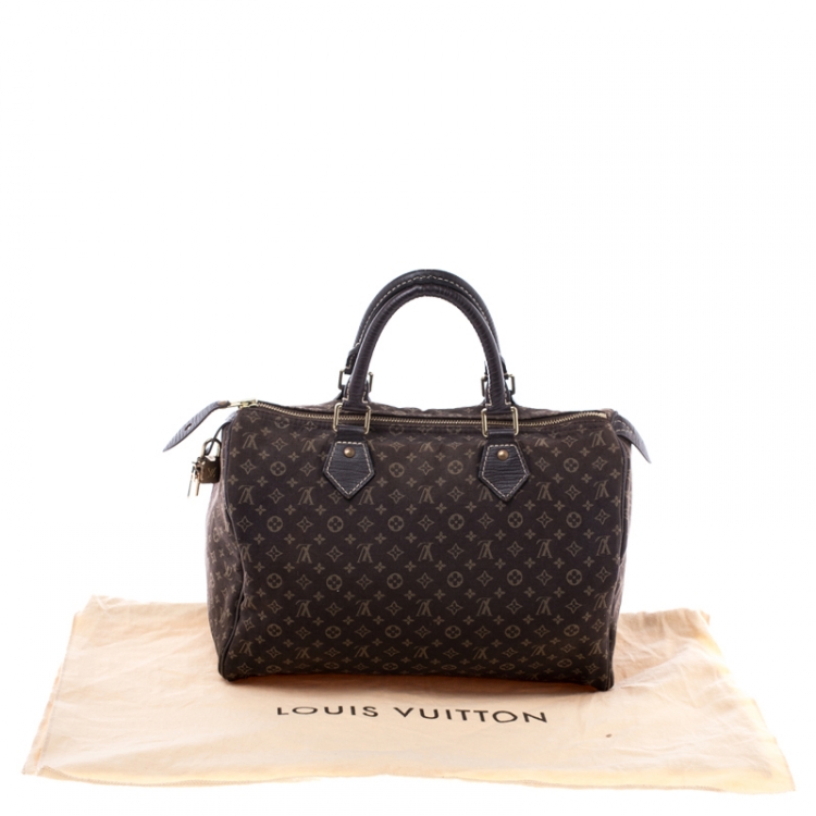 Pre Owned Louis Vuitton Fusain Monogram Canvas Mini Lin Speedy 30 Bag