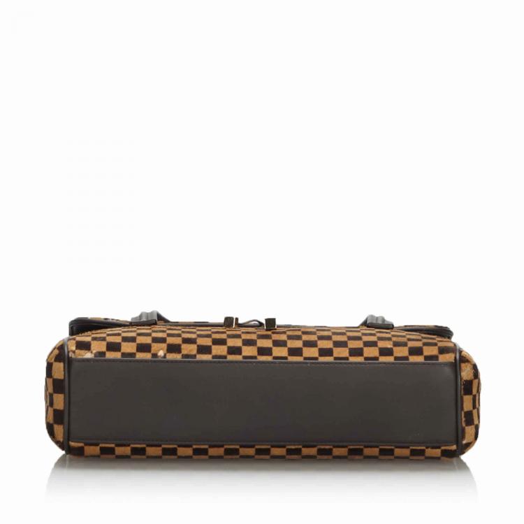 مملوكة مسبقًا Louis Vuitton Damier Sauvage Canvas Calfhair Lionne Spawn Bag