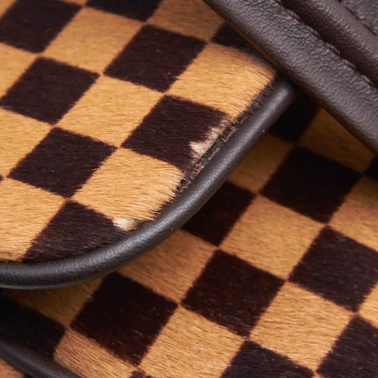مملوكة مسبقًا Louis Vuitton Damier Sauvage Canvas Calfhair Lionne Spawn Bag