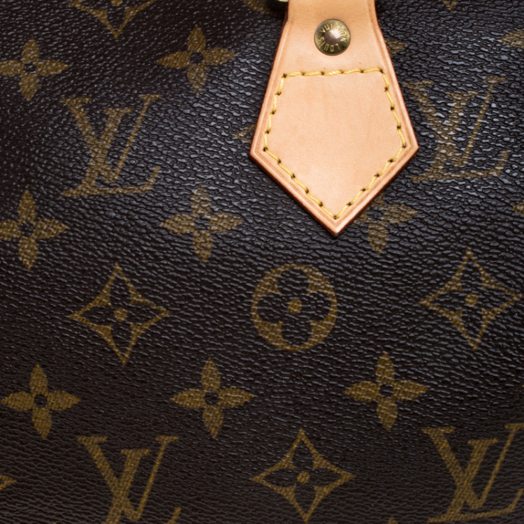 Pre Owned Louis Vuitton Monogram Canvas Speedy 25 Bag