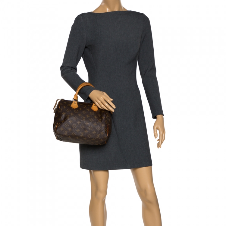 Pre Owned Louis Vuitton Monogram Canvas Speedy 25 Bag