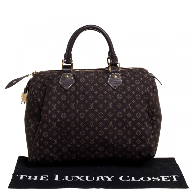 Pre Owned Louis Vuitton Fusain Monogram Canvas Mini Lin Speedy 30 Bag