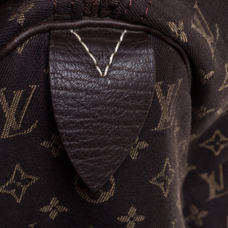 Pre Owned Louis Vuitton Fusain Monogram Canvas Mini Lin Speedy 30 Bag