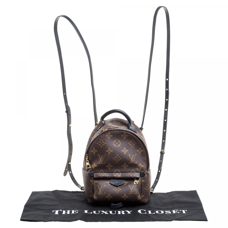 Pre Owned Louis Vuitton Monogram Canvas Mini Palm Springs Backpack