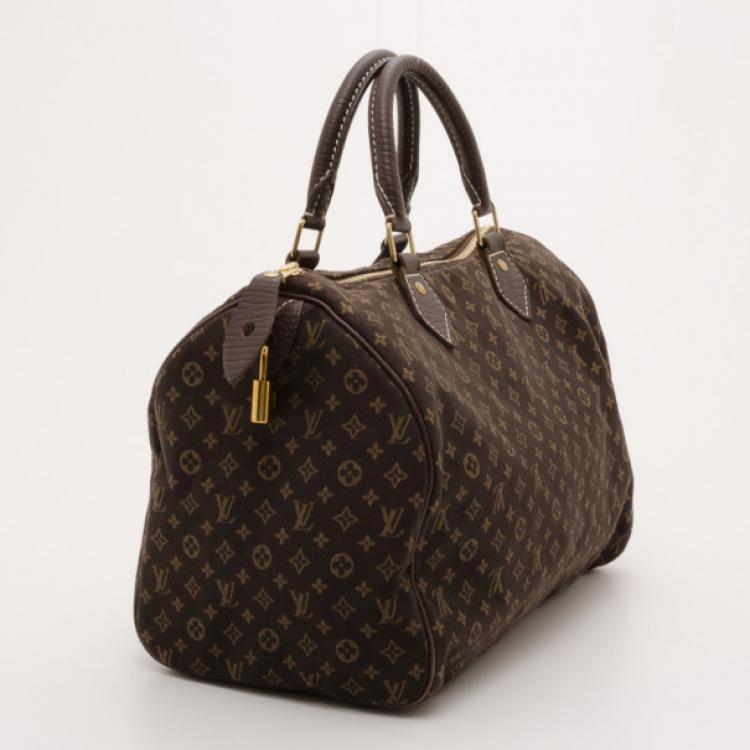 Pre Owned Louis Vuitton Mini Lin Fusain Idylle Speedy 30