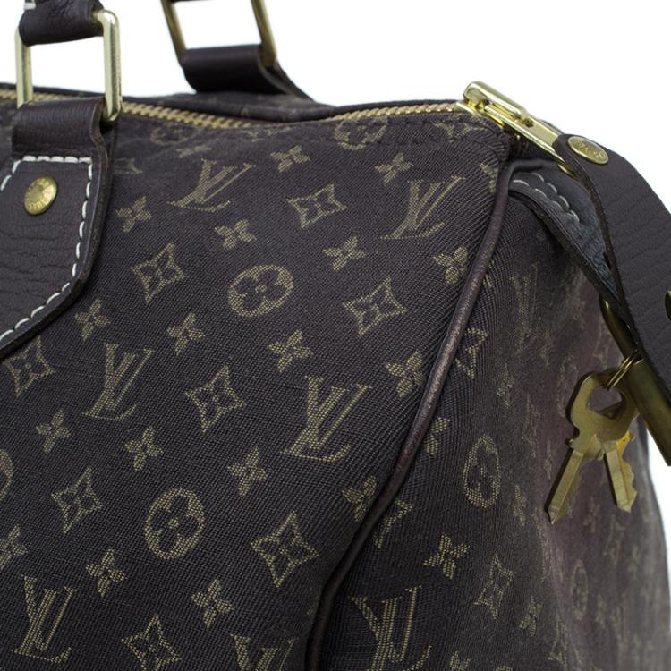 Pre Owned Louis Vuitton Monogram Canvas Mini Lin Speedy 30 Bag