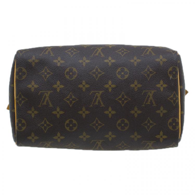 مملوكة مسبقًا Louis Vuitton Monogram Canvas Hand Paint Speedy 25 Bag
