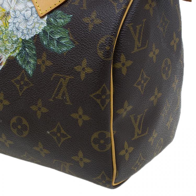 مملوكة مسبقًا Louis Vuitton Monogram Canvas Hand Paint Speedy 25 Bag