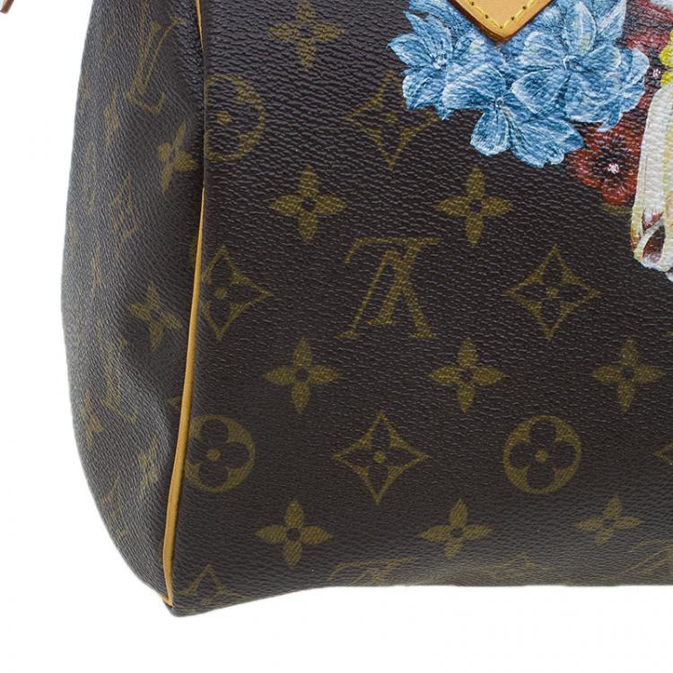 مملوكة مسبقًا Louis Vuitton Monogram Canvas Hand Paint Speedy 25 Bag