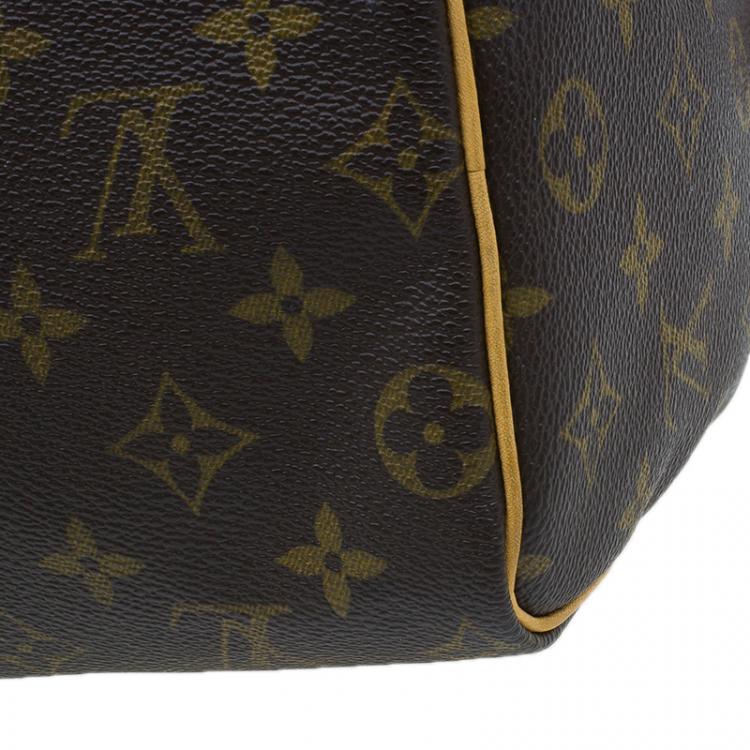 مملوكة مسبقًا Louis Vuitton Monogram Canvas Hand Paint Speedy 25 Bag