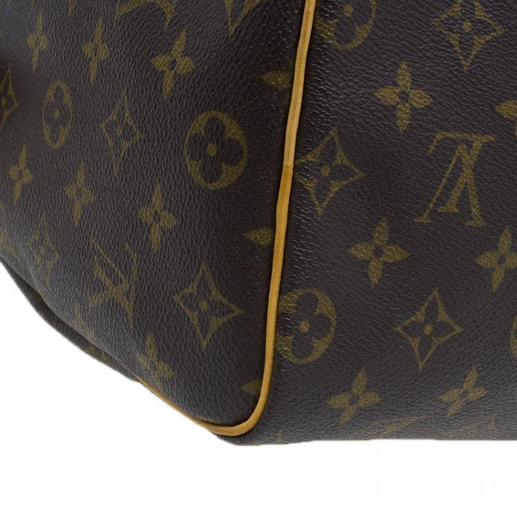 مملوكة مسبقًا Louis Vuitton Monogram Canvas Hand Paint Speedy 25 Bag