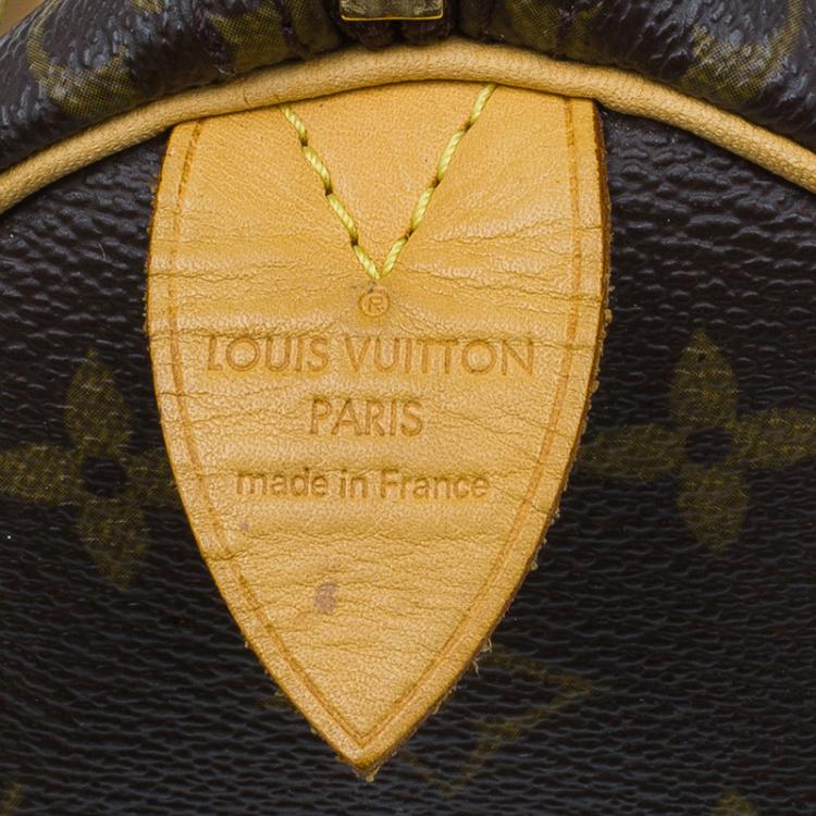 مملوكة مسبقًا Louis Vuitton Monogram Canvas Hand Paint Speedy 25 Bag