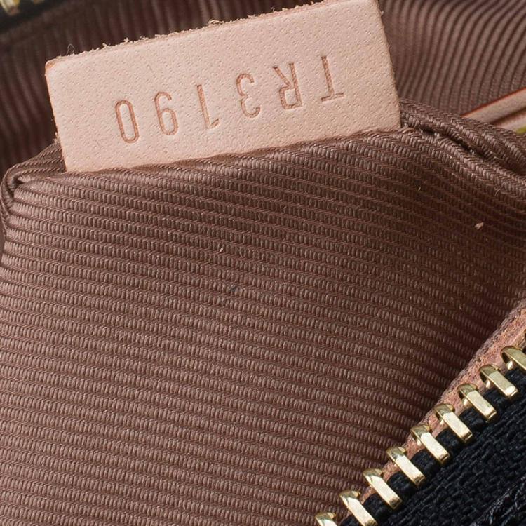 Pre Owned Louis Vuitton Monogram Canvas Limited Edition Fleur De Jais Speedy 30