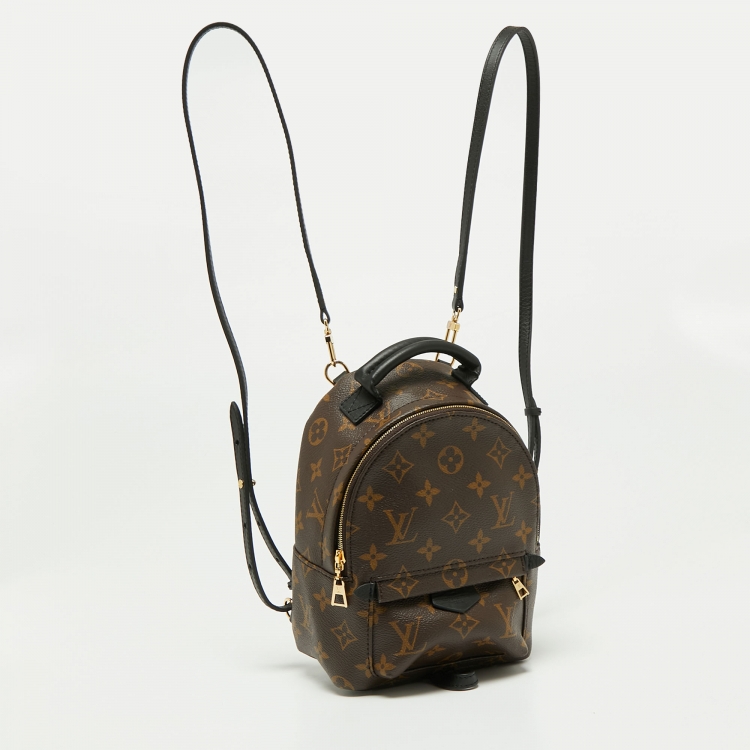 Pre Owned Louis Vuitton Monogram Canvas Mini Palm Springs Backpack