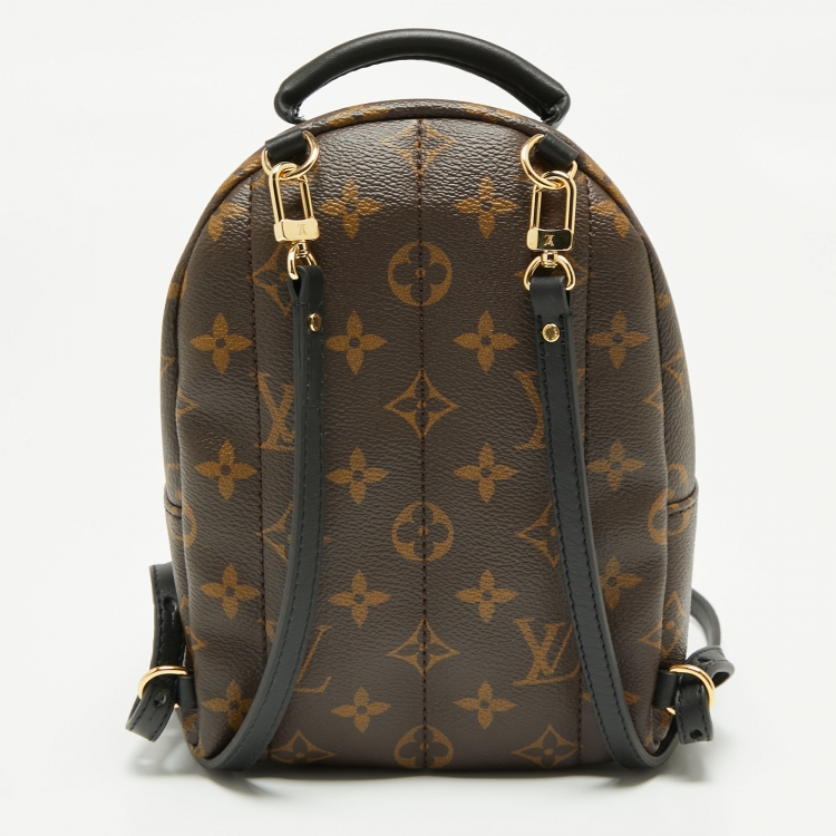 Pre Owned Louis Vuitton Monogram Canvas Mini Palm Springs Backpack