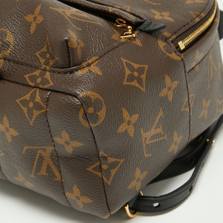 Pre Owned Louis Vuitton Monogram Canvas Mini Palm Springs Backpack