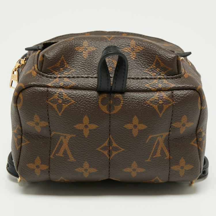 Pre Owned Louis Vuitton Monogram Canvas Mini Palm Springs Backpack