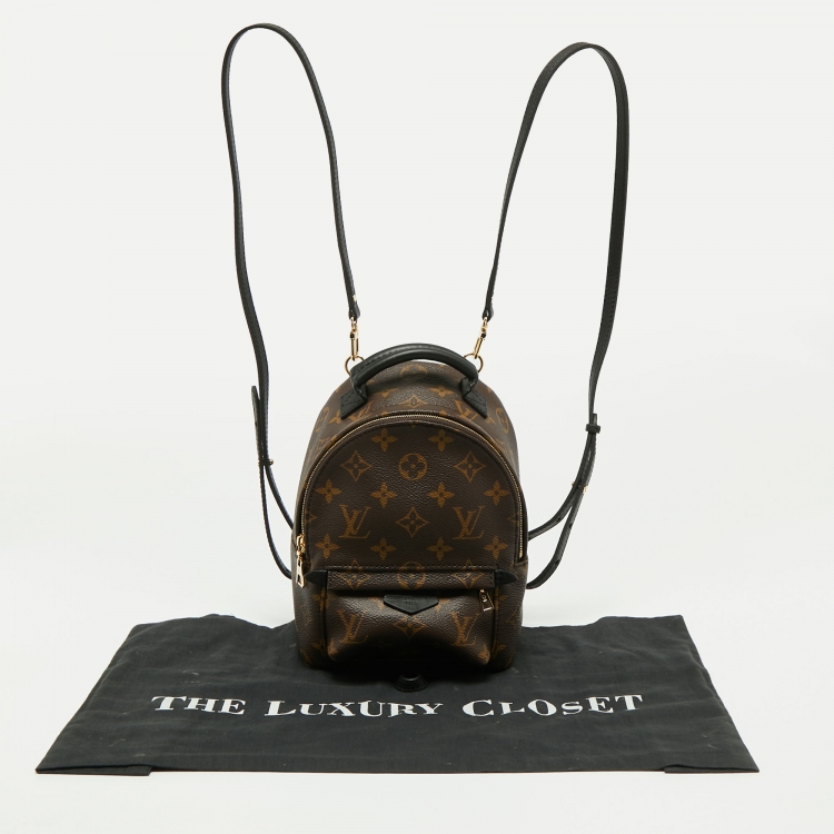 Pre Owned Louis Vuitton Monogram Canvas Mini Palm Springs Backpack