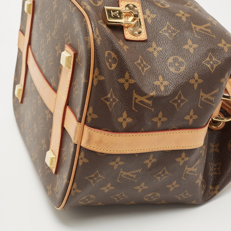 Pre Owned Louis Vuitton Monogram Canvas Neo Bucket Bag