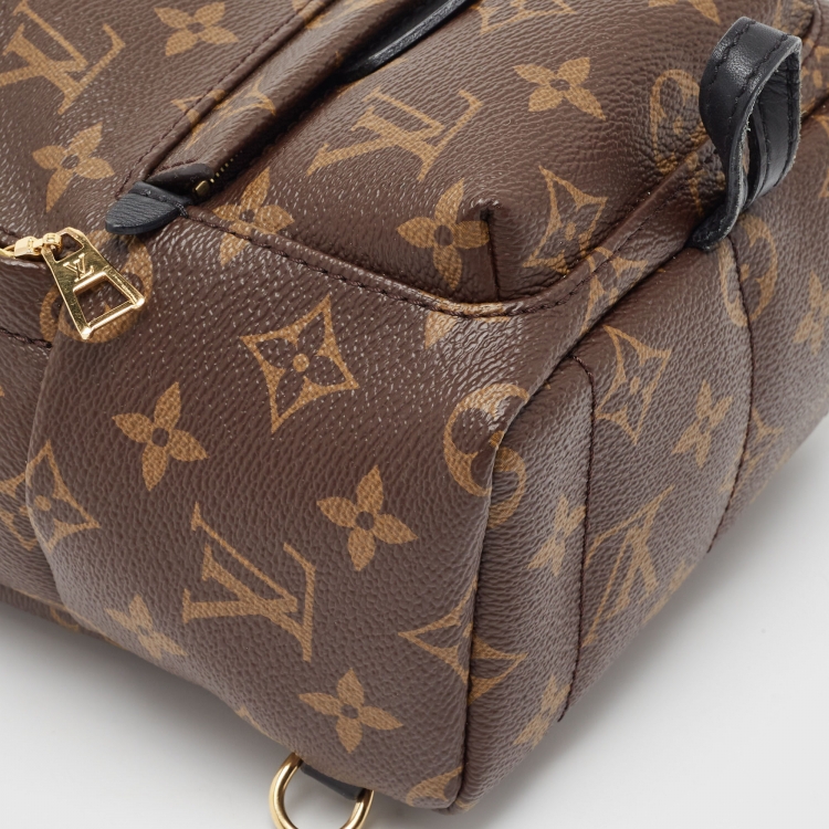 Pre Owned Louis Vuitton Monogram Canvas Mini Palm Springs Backpack