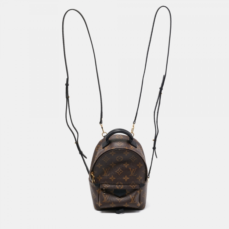 Louis Vuitton, Bags, Authentic Louis Vuitton Mini Backpack