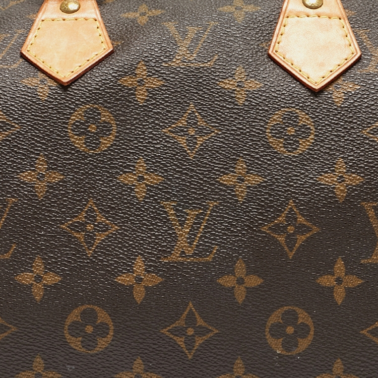 Pre Owned Louis Vuitton Monogram Canvas Speedy 25 Bag