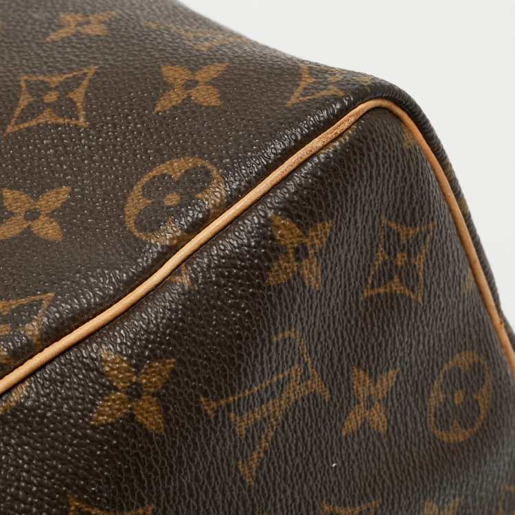 Pre Owned Louis Vuitton Monogram Canvas Speedy 25 Bag