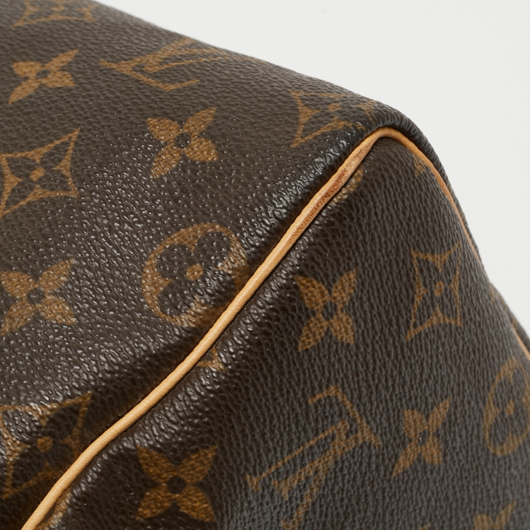 Pre Owned Louis Vuitton Monogram Canvas Speedy 25 Bag